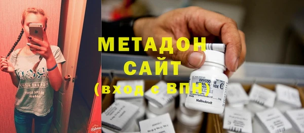 шишки Арсеньев