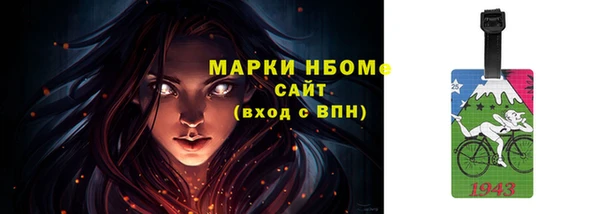 шишки Арсеньев