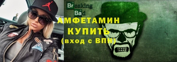 шишки Арсеньев